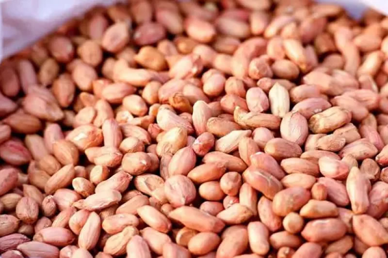 关于进口乍得花生、芝麻植物检疫要求的公告（海关总署公告2024年第136号）